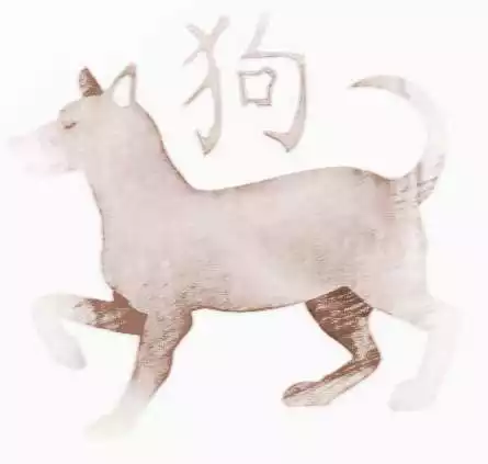 屬狗和屬鼠的人合不合：屬狗的跟屬鼠的合不合