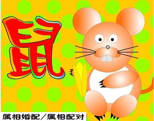3、屬鼠女易與屬啥男婚配:屬相婚配：男屬兔和女屬鼠相配嗎