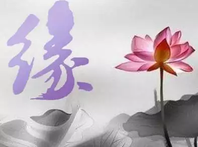 3、有沒有誰結婚前算命說不能結婚，但現在結婚了而且還過得挺幸福的呢？