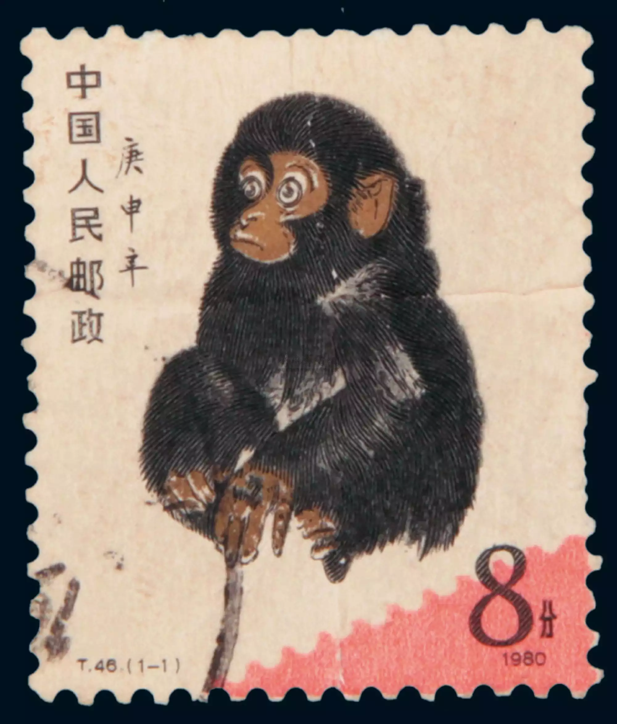 年一月份什麼屬相：年一月出生屬什麼那一年是本命年