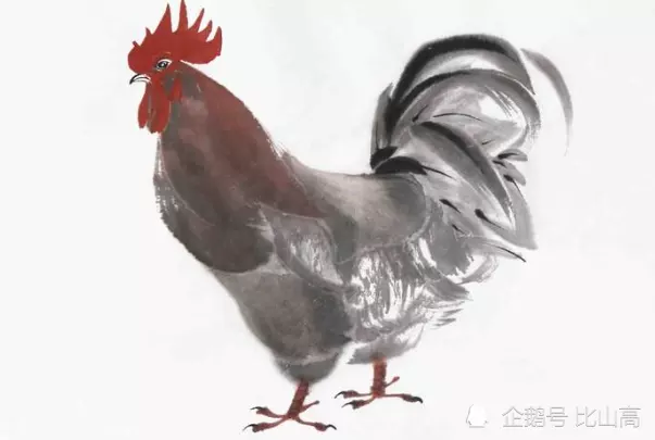 4、69年屬有幾段婚姻:69年屬雞和70年屬狗的婚姻能白頭到老嗎?