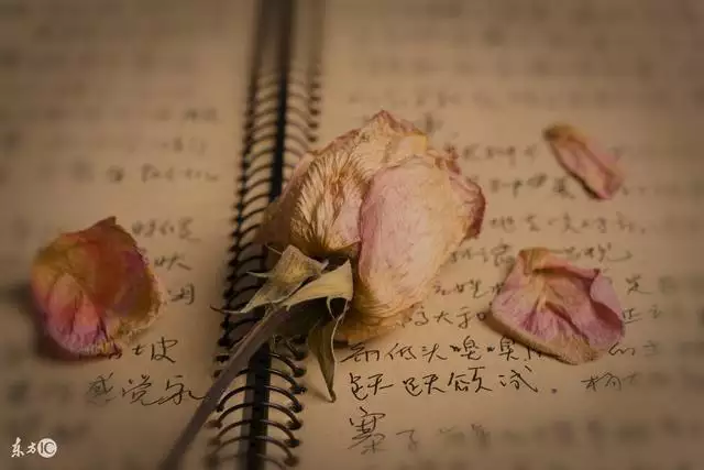 3、姻緣指的是什麼意思:到底什麼是姻緣，謝謝