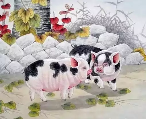 2、屬豬人與屬鼠人婚配好嗎:屬豬人跟屬鼠人相配嗎