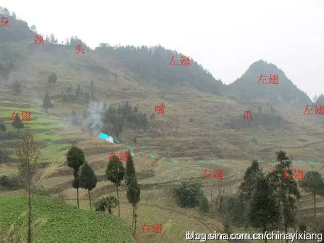 陽宅丙山壬向旺哪個屬相：壬山丙向陽宅總是不進財是為什麼，是誰人地方紕謬求解