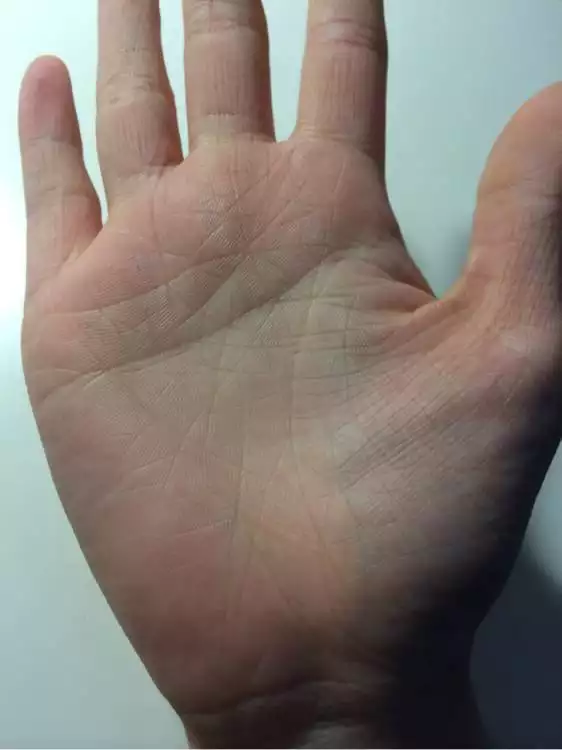 3、93屬雞人一生三大劫:93屬雞一生有幾次婚姻