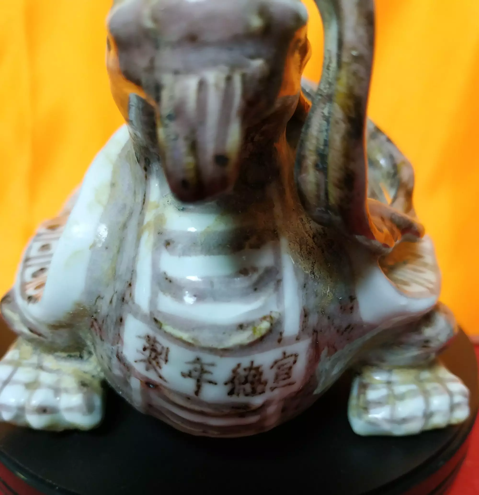 屬相龍生在五月的運氣：屬兔的和屬龍的配嗎？