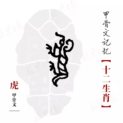 中國以外的有哪些屬相：除中國以外另有哪個有十二生肖屬相