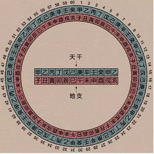 5、八字中哪個代表夫妻:八字中配偶是個什麼樣的人