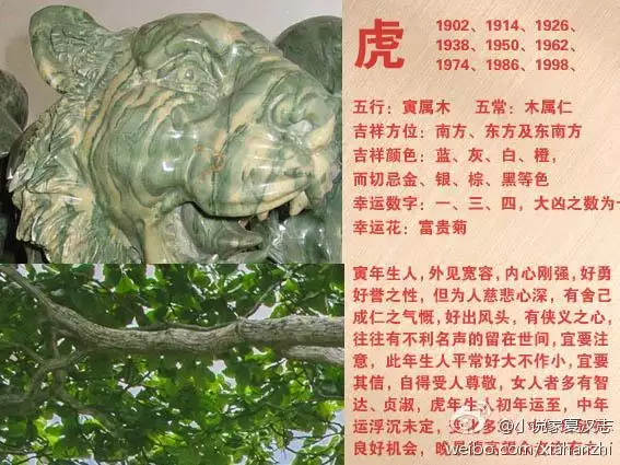 10、屬羊人今年有老人去世嗎:老人去世是羊場屬羊的是不是不能在場？