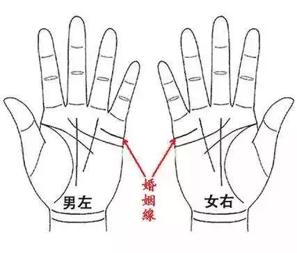 3、手相圖解怎麼看:怎麼看手相圖片？