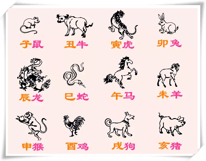 6、12生肖富貴生肖有哪些:十二生肖里哪個生肖是富貴肖？
