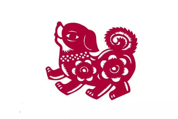 70年屬狗哪年走大運：屬狗的女人70年的狗51歲一年沒有爛桃花了嗎？