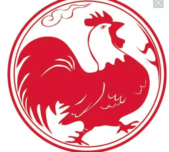2、年屬雞男年屬兔女婚配:69年屬雞的男人和87年屬兔的女人