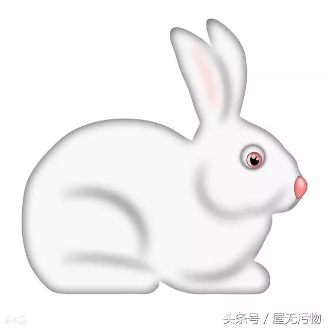 2、年屬兔是什麼命:年屬兔什麼命