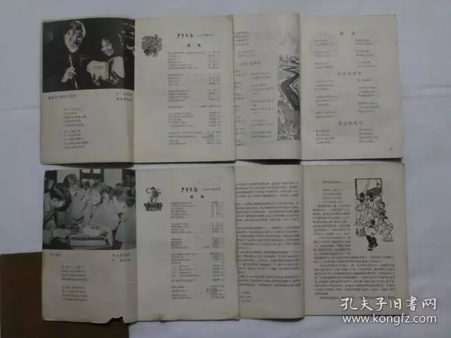 年和年屬相：年.年的屬相各是什麼