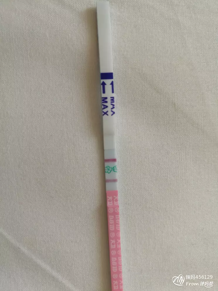生兒子一定要在排卵后嗎：求備孕二胎成功經驗