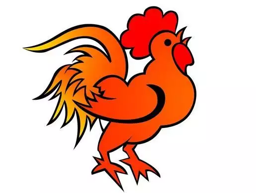 屬雞的人與什麼屬相的可以合作：屬雞的人與哪個屬相做生意旺財