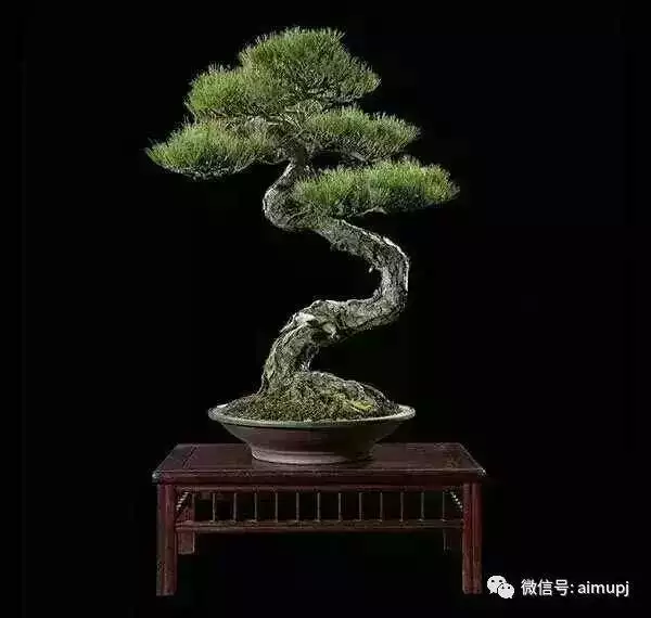 拐子是什麼屬相的生肖：瘸子是什麼生肖或数字？