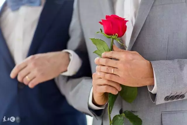 2、屬馬女二婚好不好:二婚屬馬女生嫁給頭婚屬馬男婚配幸福嗎？