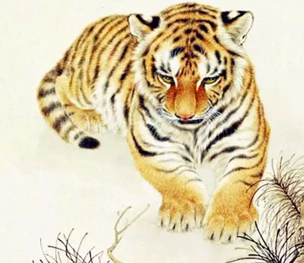 1、屬猴跟屬虎的人婚配嗎:屬虎的與屬猴的合財嗎