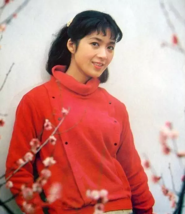 屬相婚配牧羊女和李連傑：丁嵐李連傑為什麼仳離 牧羊女成名爆紅時消逝被眾人遺忘