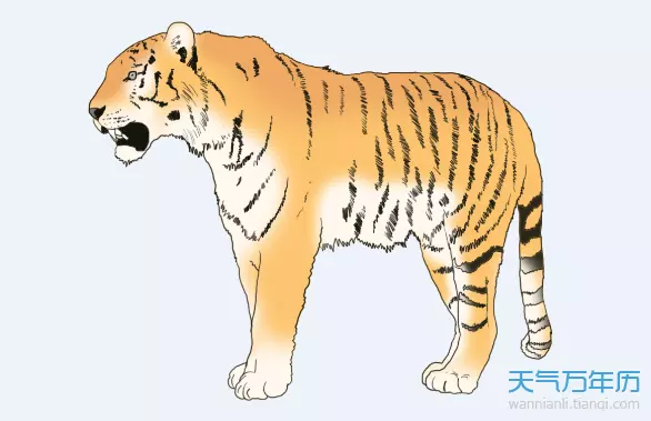 請問年出生的屬什麼：99年出生的屬什麼