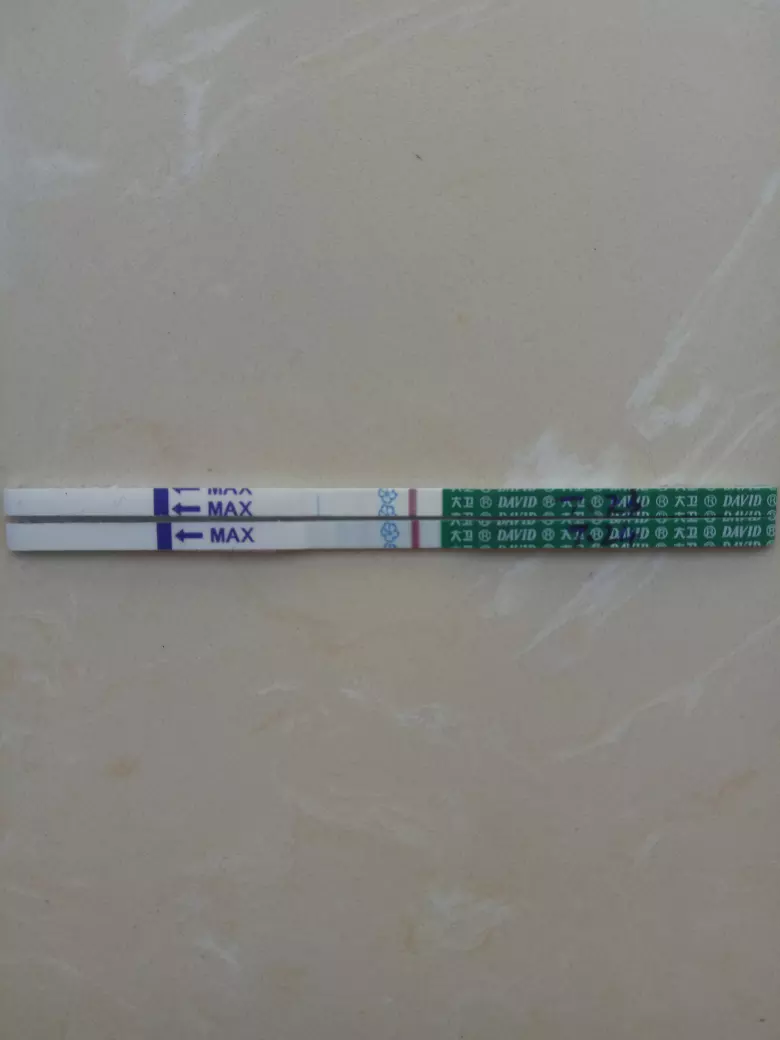 後幾天能測出懷孕：從能看出不會懷孕嗎