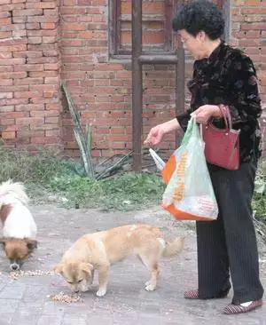 2、88年的龍和94年狗婚配嗎:年屬龍男，和年屬狗女，婚配好嗎，