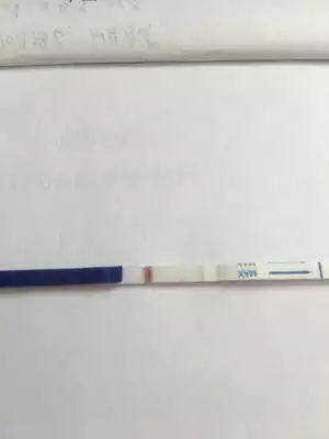 早孕試紙顏色辯男女圖：早早孕試紙兩道特顯是男孩和女孩有沒有關係