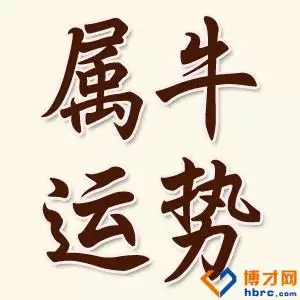 1985年屬牛女娶親妨什麼屬相：屬牛和什麼屬相不配