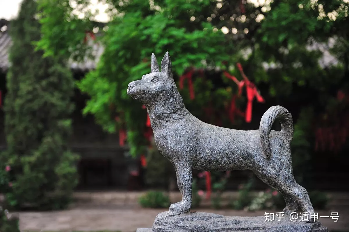 2、年屬狗的今年多少歲:屬狗的今年多少歲年