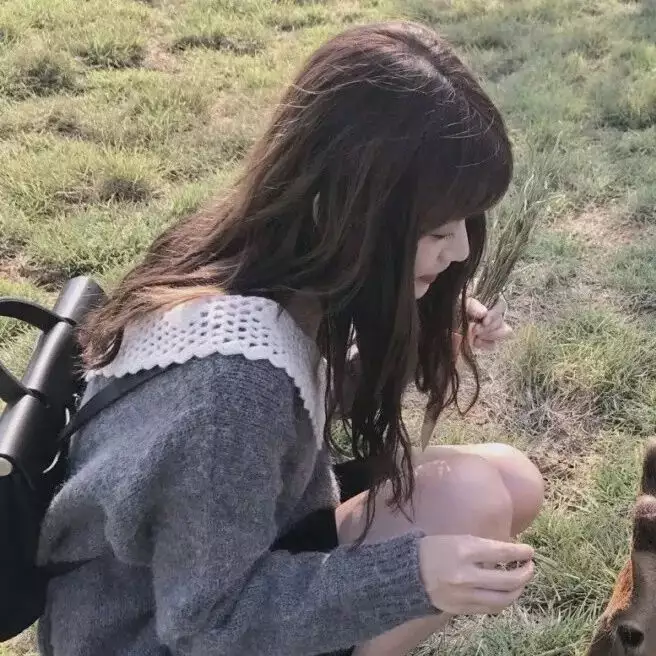 頭像可愛呆萌動物：可愛，帶動物的，可愛情侶頭像