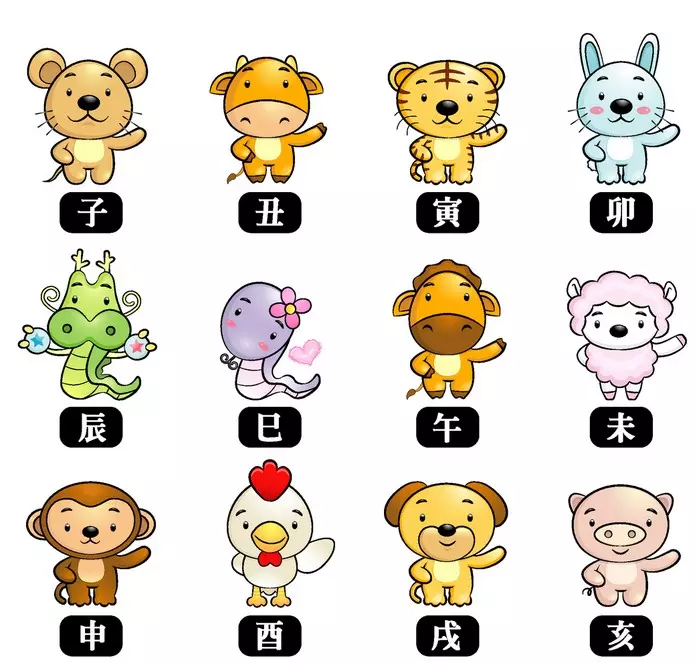 人的12屬相都是什麼：十二生肖都是什麼
