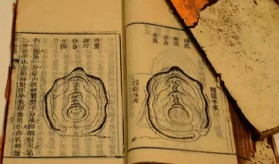 2、八字命盤:八字命盤 給解釋下
