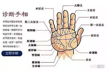 4、算命最準的免費網站婚姻線:算婚姻最準的免費網站，有多少？