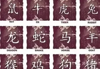 3、查查自己的命運:怎麼查自己是什麼命