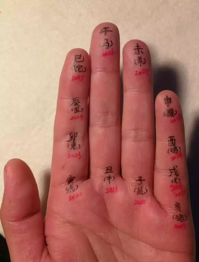 十二生肖哪個屬相是十個手指頭：十二生肖什麼動物一隻手五個手指頭