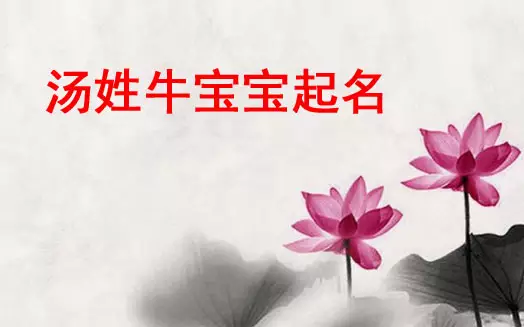 1、起名字起名寶:年男孩取名字寓意好的字