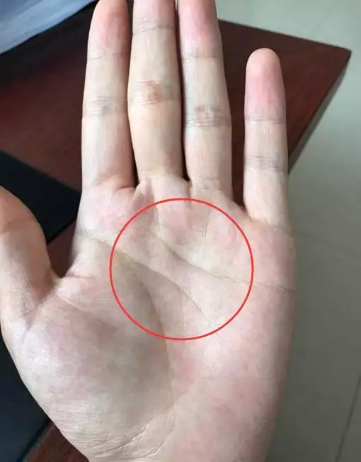 屬虎人命中註定破大財嗎：破財真的免災嗎 ？？？