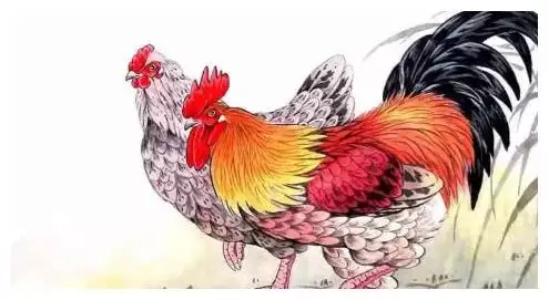 屬雞的出嫁用啥屬相最好：屬雞的和什麼屬相能在一起結婚