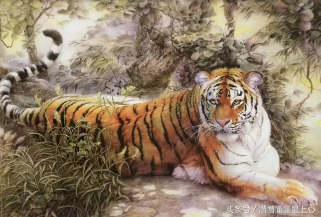 1、屬虎的哪個月份出生的人最苦:屬虎的幾月出生不好