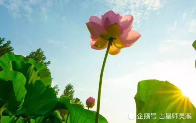 2、如何讓自己財運越來越好:如何才能讓自己財運旺
