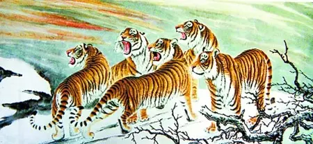 4、屬兔人逢虎年:屬兔年的人和屬虎年出生的人相佩嗎