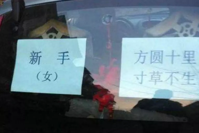 2、85牛女與86虎男婚配:85年屬牛女和86年屬虎男,相配嗎