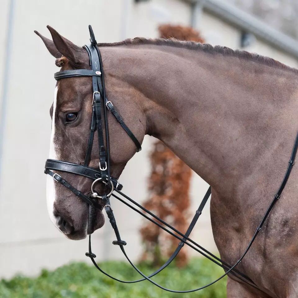 2、女龍和男馬婚配好欠好:屬龍的女和屬馬的男是好的婚配嗎