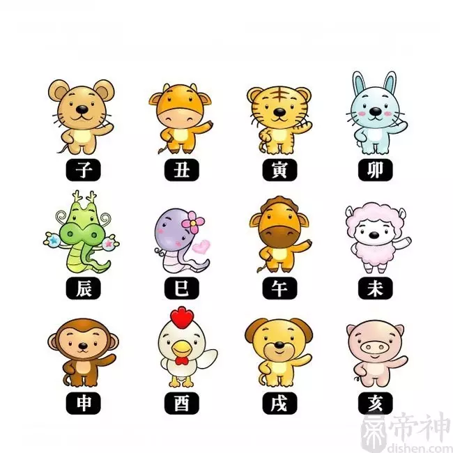4、屬鼠和屬龍婚配合適嗎:屬龍和屬鼠的配嗎?和什麼生肖最配呢?