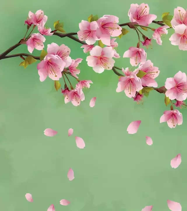 1、年屬兔爛桃花幾月結束:屬兔年桃花運