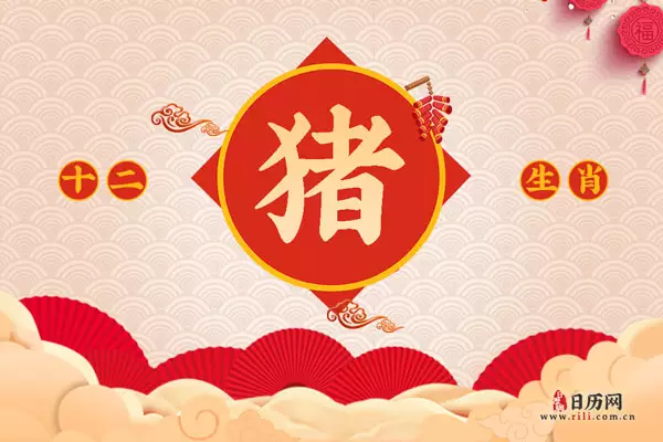 1、屬豬的今年多大:屬豬的今年多大