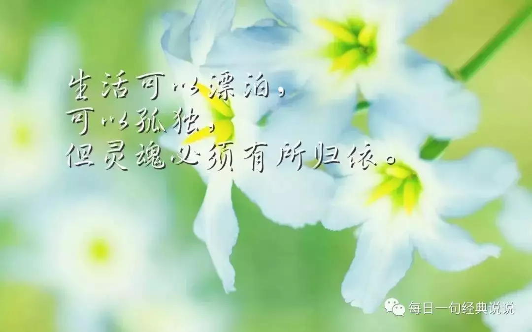 4、緣分個性簽名短語:關於緣分的浪漫的繁體個性簽名