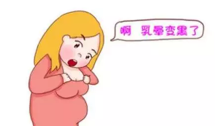 我老婆懷孕幾月了，從孕期癥狀如何判斷生男生女？